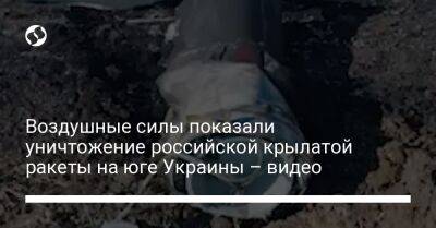 Воздушные силы показали уничтожение российской крылатой ракеты на юге Украины – видео - liga.net - Украина - Одесская обл.