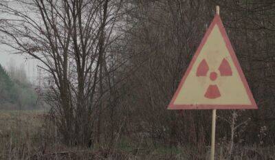 Зашло целое стадо: в Чернобыльской зоне засняли одичавших домашних животных - ukrainianwall.com - Украина