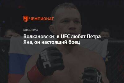 Шон Омэлли - Алексей Волкановски - Мераб Двалишвили - Волкановски: в UFC любят Петра Яна, он настоящий боец - championat.com