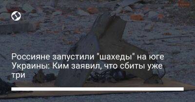 Максим Марченко - Сергей Лысак - Виталий Ким - Россияне запустили "шахеды" на юге Украины: Ким заявил, что сбиты уже три - liga.net - Украина - Николаев - Николаевская обл.