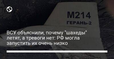 Наталья Гуменюк - Виталий Ким - ВСУ объяснили, почему "шахеды" летят, а тревоги нет: РФ могла запустить их очень низко - liga.net - Россия - Украина - Киевская обл.