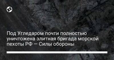 Сергей Шойгу - Алексей Дмитрашковский - Под Угледаром почти полностью уничтожена элитная бригада морской пехоты РФ — Силы обороны - liga.net - Россия - Украина - Донецкая обл.