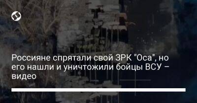 Россияне спрятали свой ЗРК "Оса", но его нашли и уничтожили бойцы ВСУ – видео - liga.net - Россия - Украина