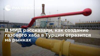 Владимир Путин - Александр Новак - Чиновник МИД Пилипсон: газовый хаб в Турции окажет стабилизирующий эффект на мировые рынки - smartmoney.one - Россия - Турция - Азербайджан - Алжир - Алжирская Народная Демократическая Республика - Катар