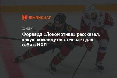 Павел Панышев - Александр Полунин - Форвард «Локомотива» рассказал, какую команду он отмечает для себя в НХЛ - championat.com - Нью-Йорк - Ярославль