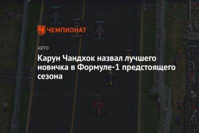 Льюис Хэмилтон - Оскар Пиастри - Карун Чандхок назвал лучшего новичка в Формуле-1 предстоящего сезона - championat.com