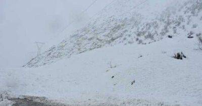 За сутки в Таджикистане сошло 7 снежных лавин - dialog.tj - Душанбе - Таджикистан - Хорог