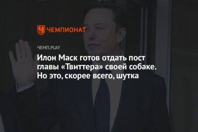 Гарри Поттер - Илон Маск готов отдать пост главы «Твиттера» своей собаке. Но это, скорее всего, шутка - championat.com - Twitter