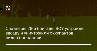 Александр Павлюк - Снайперы 28-й бригады ВСУ устроили засаду и уничтожили оккупантов — видео попаданий - liga.net - Россия - Украина