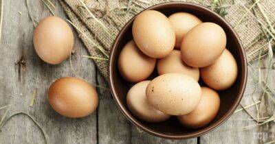 От чего будут зависеть цены на яйца и когда они подешевеют? | Новости Одессы - odessa-life.od.ua - Украина - Одесса