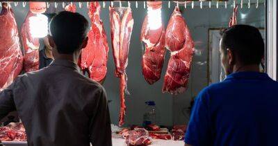 В Таджикистане выросло производство мяса - dialog.tj - Таджикистан
