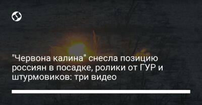 "Червона калина" снесла позицию россиян в посадке, ролики от ГУР и штурмовиков: три видео - liga.net - Украина