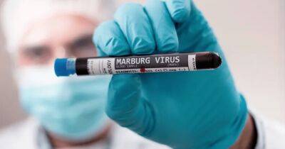 Конкурент COVID-19. ВОЗ обеспокоена распространением вируса Марбург - focus.ua - Украина - Камерун - Экваториальная Гвинея