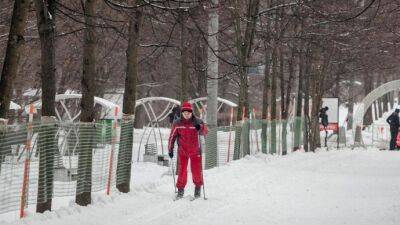 Парк "Сокольники" приглашает на занятия по лыжному спорту - parkseason.ru - Новости