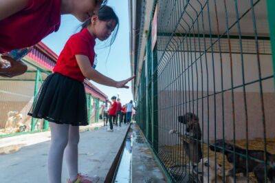 Наше общество еще не готово заботиться о бездомных животных - работники приюта "Мехр" о поисках спонсора - podrobno.uz - Узбекистан - Ташкент