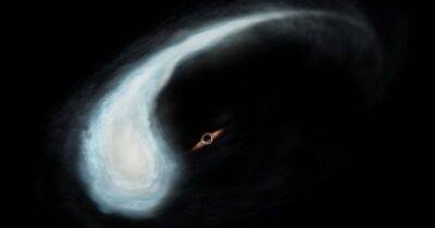 Недостающее звено. В Млечном Пути обнаружен необычный объект в 100 тысяч раз тяжелее Солнца - focus.ua - Украина - Япония