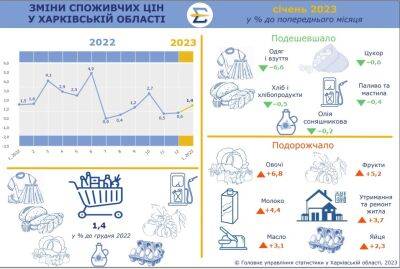 На Харьковщине подешевели сахар и топливо, выросли в цене овощи и молоко - objectiv.tv - Харьковская обл.