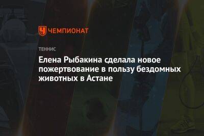 Арина Соболенко - Елена Рыбакина - Елена Рыбакина сделала новое пожертвование в пользу бездомных животных в Астане - championat.com - Казахстан - Австралия - Белоруссия - Эмираты - Астана