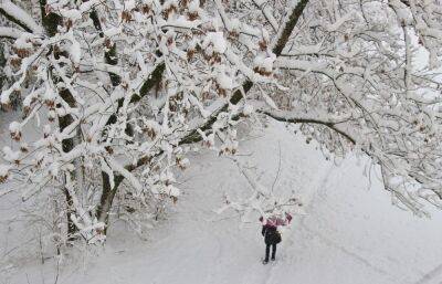 Погода в Твери сегодня: регион засыплет снегом - afanasy.biz - Россия - Тверь - Тверская обл.