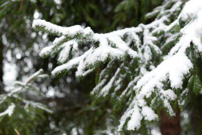 Погода в Украине - когда ожидаются снег и плюсовая температура - apostrophe.ua - Украина