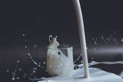 Роспотребнадзор рассказал о количестве фальсификата в молочной продукции - afanasy.biz - Тверская обл. - Торговля