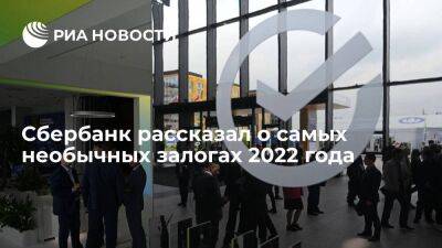 Сбербанк: в 2022 году компании хотели заложить собачью будку и сельскую танцплощадку - smartmoney.one - Россия