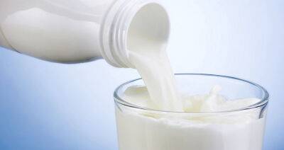 За 2022 год в Беларуси произведено 7,9 миллиона тонн молока - produkt.by - Белоруссия - район Дятловский