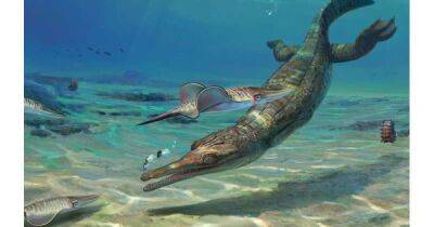 Древняя "сестра" предков современных крокодилов. Исследователи обнаружили еще одну талаттозухию - focus.ua - Украина - Англия