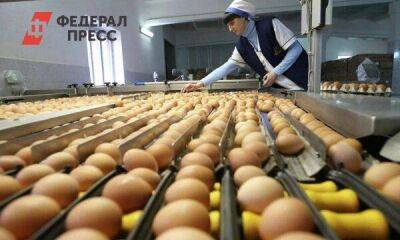 В Липецкой области стали производить больше яиц - smartmoney.one - Россия - Липецкая обл. - Липецк
