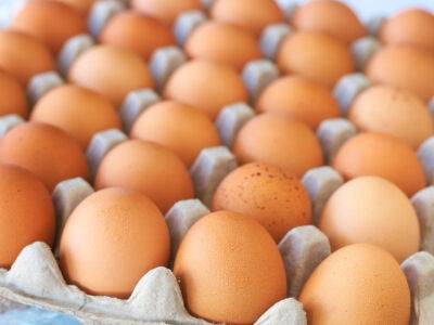 ГБР заявило о задержании пяти человек за поставки Министерству обороны яиц по 17 грн. и "виртуальных продуктов" - gordonua.com - Украина