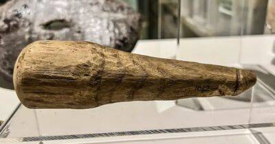 Археологи нашли 2000-летнюю секс-игрушку: сперва ее спутали с инструментом для шитья (фото) - focus.ua - Украина - Римская Империя - Находка
