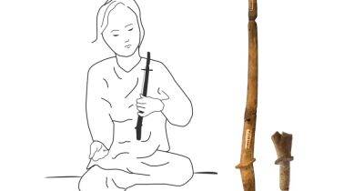 Самым древним струнным инструментом Юго-Восточной Азии может быть 2000-летний рог - focus.ua - Украина - Австралия - Вьетнам - Находка