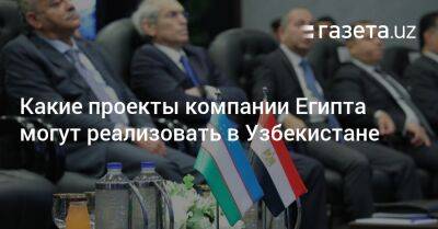 Какие проекты компании Египта могут реализовать в Узбекистане - gazeta.uz - Узбекистан - Египет - Каир - Ташкент