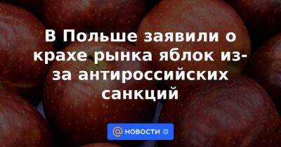 В Польше заявили о крахе рынка яблок из-за антироссийских санкций - smartmoney.one - Египет - Польша