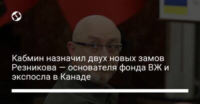 Андрей Шевченко - Алексей Резников - Тарас Мельничук - Кабмин назначил двух новых замов Резникова — основателя фонда ВЖ и экспосла в Канаде - liga.net - Украина - Канада - Николаевская обл.