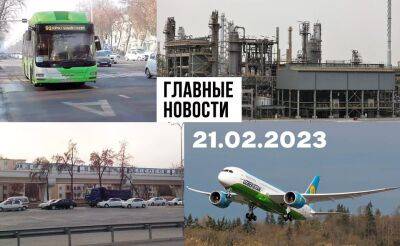 Нет состава преступления, бизнес на жалости и сажать всех надолго. Новости Узбекистана: главное на 21 февраля - podrobno.uz - Сирия - Токио - Узбекистан - Ташкент