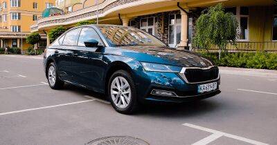 Какой тип привода выбирают украинцы при покупке авто — исследование - focus.ua - Украина