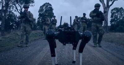 Солдаты смогли управлять робо-псами при помощи телепатии: как это удалось (видео) - focus.ua - Украина - Австралия