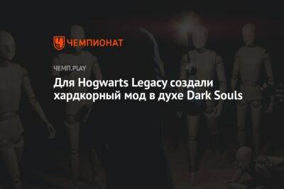 Гарри Поттер - Для Hogwarts Legacy создали хардкорный мод в духе Dark Souls - championat.com