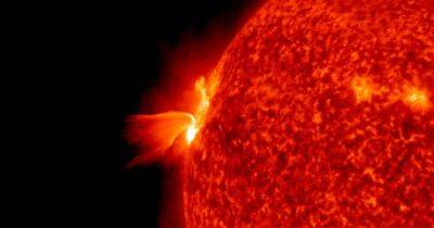 Ученые обнаружили загадочный сигнал от Солнца, похожий на сердцебиение: откуда он появился - focus.ua - США - Украина - шт.Нью-Джерси