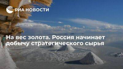 На вес золота. Россия начинает добычу стратегического сырья - smartmoney.one - Россия - Китай - США - Австралия - Новосибирск - Красноярск - Боливия - Аргентина - Чили