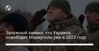 Дмитрий Комаров - Валерий Залужный - Залужный заявил, что Украина освободит Мариуполь уже в 2023 году - liga.net - Россия - Украина - Афганистан - Мариуполь