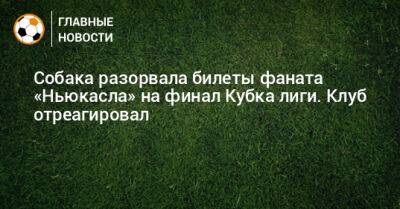 Собака разорвала билеты фаната «Ньюкасла» на финал Кубка лиги. Клуб отреагировал - bombardir.ru