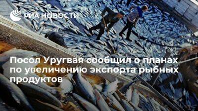 Посол Уругвая Кастильос сообщил о планах по увеличению поставок рыбных продуктов в Россию - smartmoney.one - Москва - Россия - Уругвай
