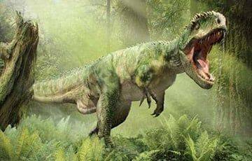 Ученые выяснили, почему тираннозавры вырастали такими огромными - charter97.org - Белоруссия