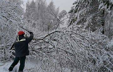Снегопад с ветром оставили Витебскую область без электричества - charter97.org - Белоруссия