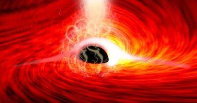 Вселенная - В 1 млрд раз больше массы Солнца. Обнаружена черная дыра, которая может изменить представление о космосе - focus.ua - США - Украина