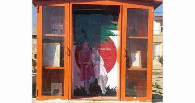 В Кабуле на могиле двух девочек, погибших при теракте, появилась стихийная библиотека - dialog.tj - Турция - Ирак - Афганистан - Кабул