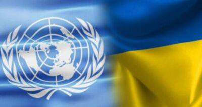 Правда про выплаты 6600 гривен от ООН. Как увеличить шансы на получение - cxid.info - Украина
