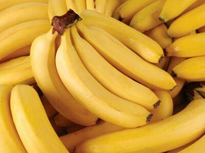 В грузе бананов из Эквадора нашли кокаин на 330 млн долларов - unn.com.ua - США - Украина - Киев - Бельгия - Колумбия - Эквадор - Антверпен